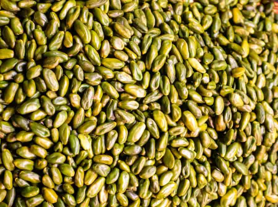 فروش مغز پسته